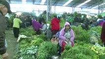 سوق أعشاب غريبة في بوغوتا تكتنف الكثير من الاسرار