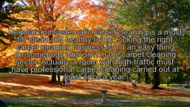 Personal or Professional Carpet Cleaning