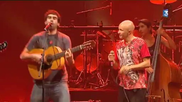 BONUS L'Accordéon pour les cons Duo les Ogres de Barback+Tryo