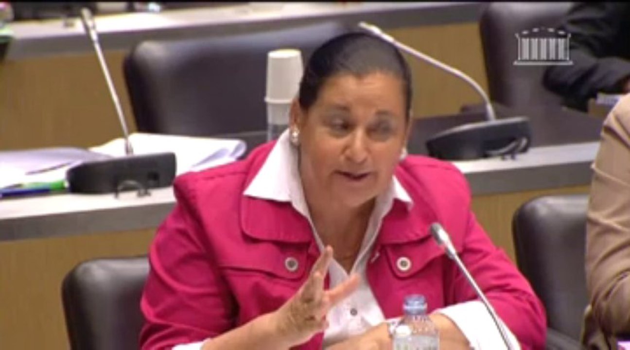 23/10/13 Intervention Martine Faure sur le budget enseignement scolaire 2014