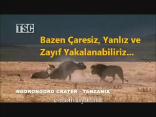 muhteşem geri dönüş