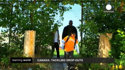 Wise premia seis proyectos pioneros de innovación...