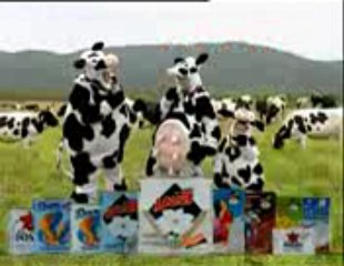 Sửa bình nóng lạnh tại MỸ ĐÌNH 0934467277