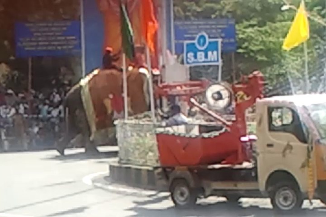 video-2013-10-14Festival Elephants