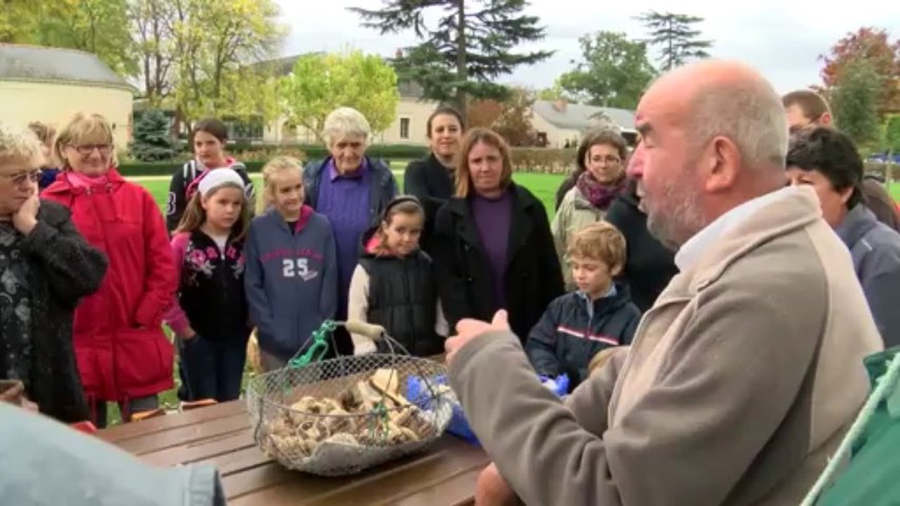 JT OCTOBRE [S.10] [E.25] - Le journal du vendredi 25 octobre