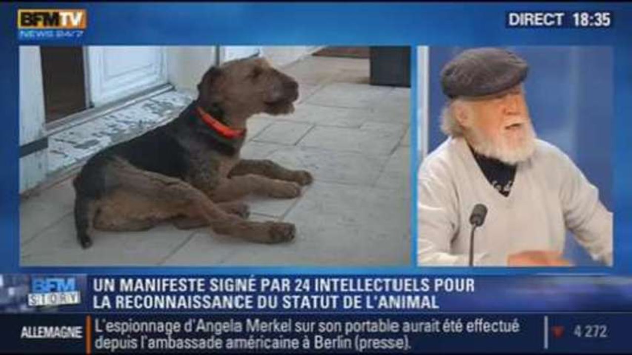 BFM Story: le statut juridique des animaux: vingt-quatre intellectuels ont signé un manifeste - 25/10