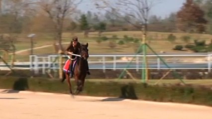 Tall in the saddle in North Korea
