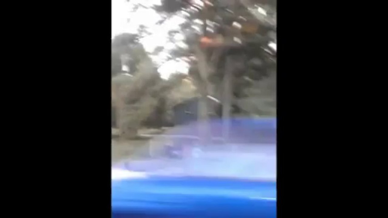 cheater revenge