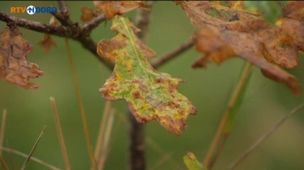 Het Weer [25-10-2013] - RTV Noord