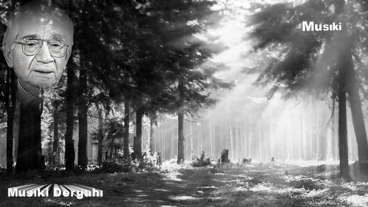 Alaeddin Yavaşça ♫ Nideyim bilmem elinden senin bilmem nideyim.HD