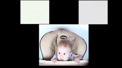 Early Number Skills in Babies May Predict Future Math Success 📊