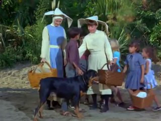 A NOVIÇA VOADORA   EPISÓDIO 25   COMPLETO DUBLADO