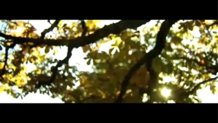 Ahmad Zahir-DIlam Dar Asheqi-New Song HD