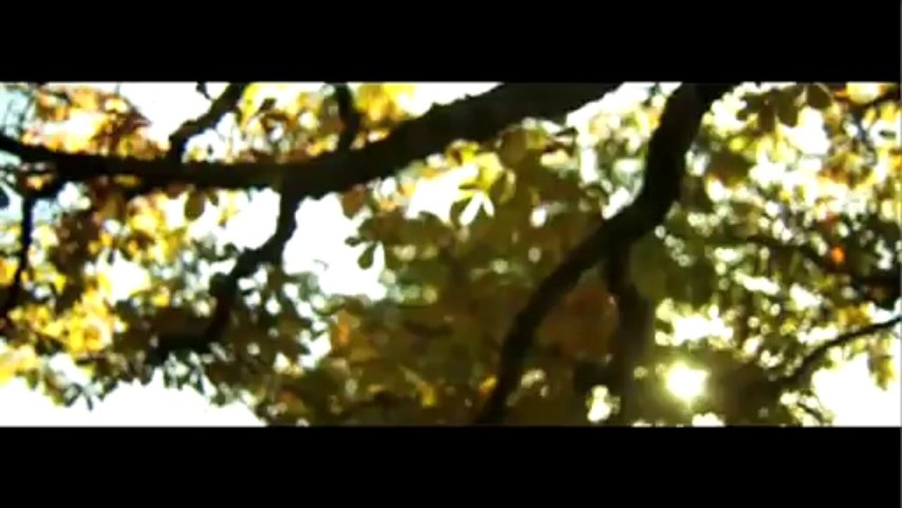 Ahmad Zahir-DIlam Dar Asheqi-New Song HD