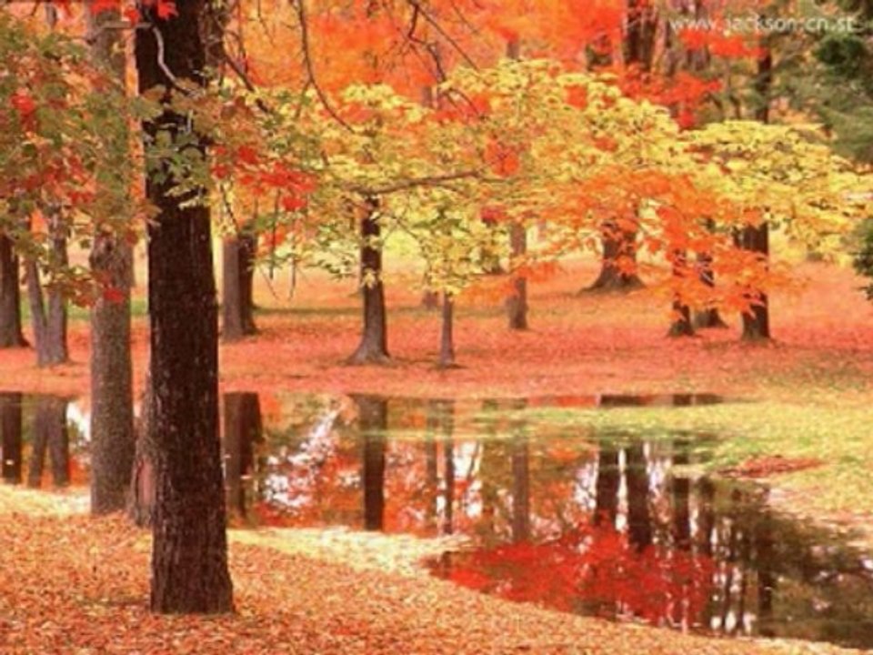 SALMOS CAP  83 - A BIBLIA NA LINGUAGEM DE HOJE