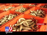 Food Department raids namkeen factory ahead of festive season, Ahmedabad - Tv9 Gujarat
