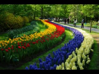 SALMOS CAP 106  - A BIBLIA NA LINGUAGEM DE HOJE