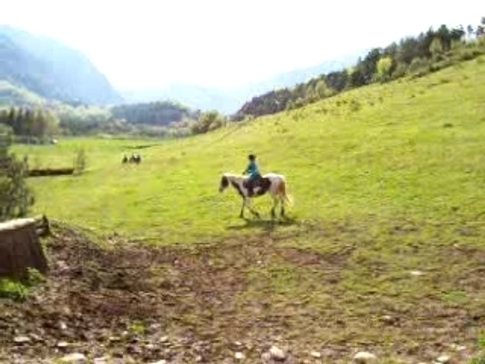 Passage de sentier + tronc