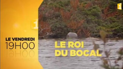 BA Roi du Bocal - La pêche