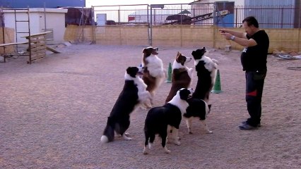 Encauzando siempre, efectos secundarios...