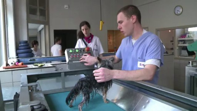 Rostral et Apple retrouvent la forme en centre de rééducation