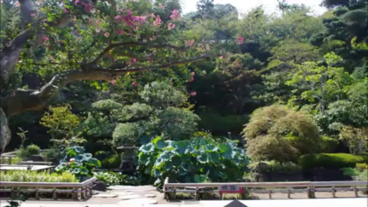 Voyage Japon [21/08/13 - 07/09/13]