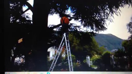 Slav le jardinier