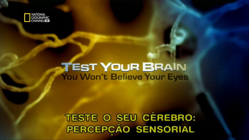 Teste o seu Cérebro