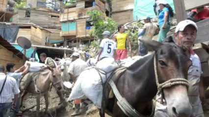 Illegal gold mining continues to take lives in Colombia