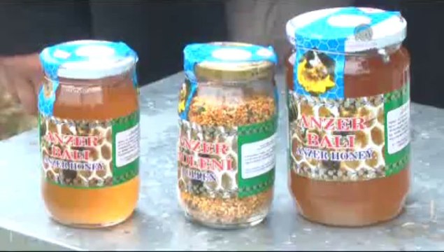 Başbakan Erdoğan'a Anzer'den bal