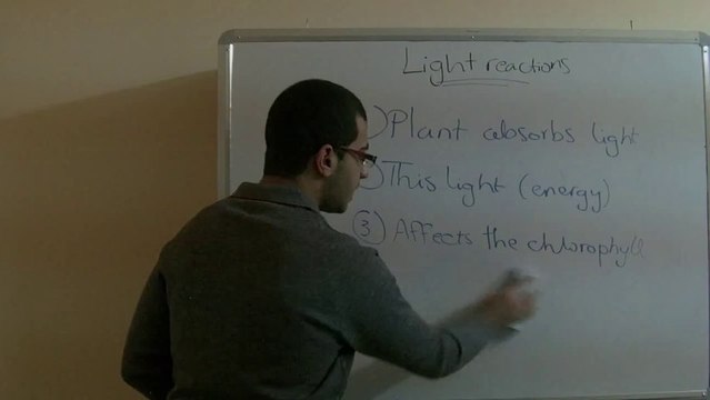 Biology - Chapter 1 - Nutrition - part 14 (Light reactions part 1) - Abdallah Reda el Sayed - YouTube