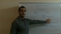 Biology - Chapter 1 - Nutrition - part 15 (Light reactions part 2) - Abdallah Reda el Sayed - YouTube