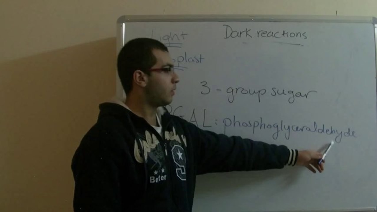 Biology - Chapter 1 - Nutrition - part 17 (Dark reactions part 2) - Abdallah Reda el Sayed - YouTube