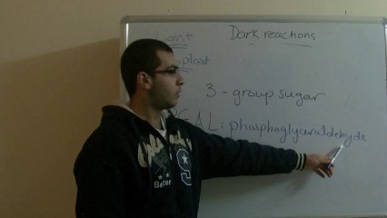 Biology - Chapter 1 - Nutrition - part 17 (Dark reactions part 2) - Abdallah Reda el Sayed - YouTube