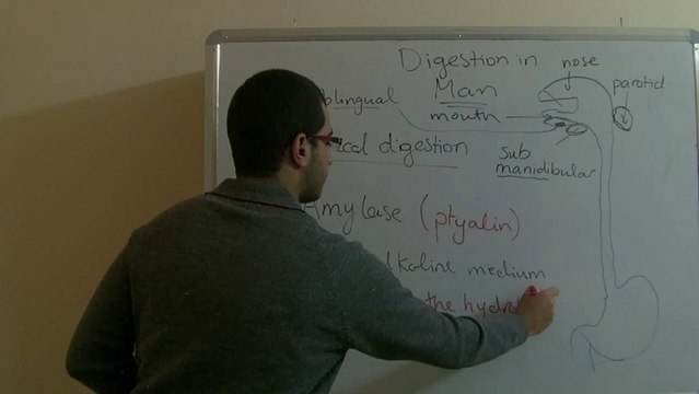 Biology - Chapter 1 - Nutrition - part 19 (Buccal digestion) - Abdallah Reda el Sayed - YouTube
