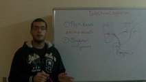 Biology - Chapter 1 - Nutrition - part 21 (Intestinal digestion) - Abdallah Reda el Sayed - YouTube