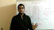 Biology - Chapter 1 - Nutrition - part 22 (Food absorption) - Abdallah Reda el Sayed - YouTube