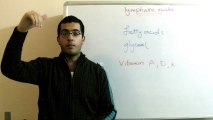 Biology - Chapter 1 - Nutrition - part 23 (Metabolism and large intestines) - Abdallah Reda el Sayed - YouTube