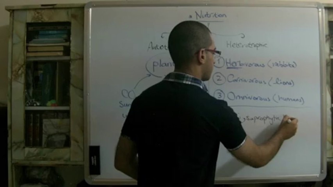 Biology - Chapter 1- Nutrition - part 1 (Introduction) - Abdallah Reda el Sayed