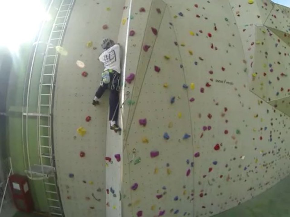 Relais 2 vert 6A _01