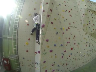 Relais 2 vert 6A _01