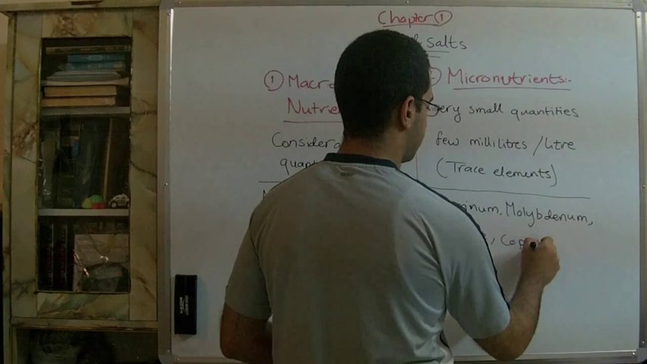 Biology - Chapter 1 - Nutrition - part 4 (Essential mineral salts) - Abdallah Reda el Sayed - YouTube