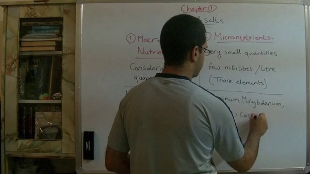 Biology - Chapter 1 - Nutrition - part 4 (Essential mineral salts) - Abdallah Reda el Sayed - YouTube