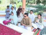 Bilawal bhutto zardari visits grave of Hakim Ali Zardari