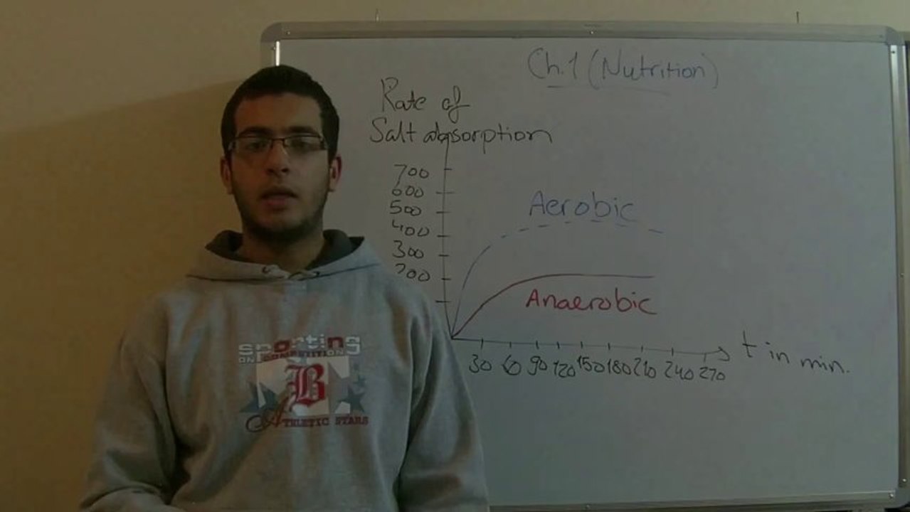 Biology - Chapter 1 - Nutrition - part 7 (O2 importance in absorption) - Abdallah Reda el Sayed - YouTube