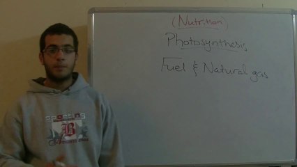 Biology - Chapter 1 - Nutrition - part 8 (Photosynthesis) - Abdallah Reda el Sayed - YouTube