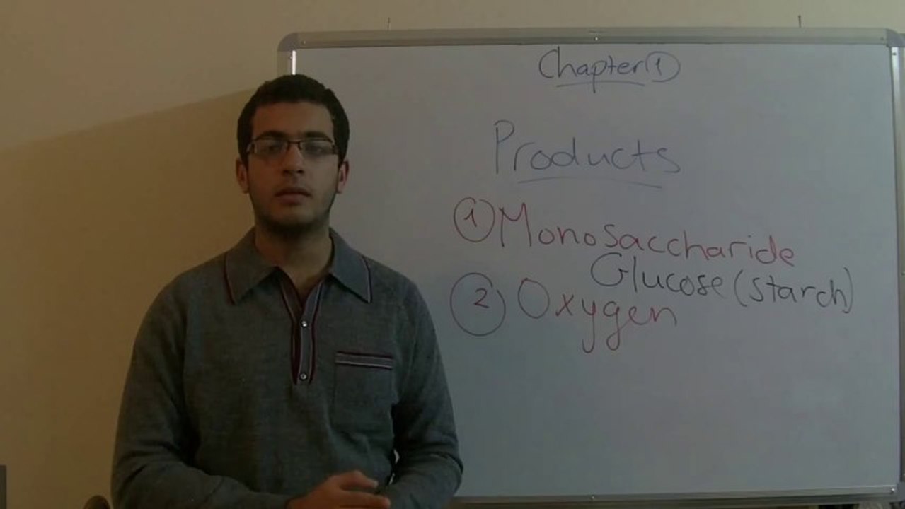 Biology - Chapter 1 - Nutrition - part 9 (Photosynthesis products) - Abdallah Reda el Sayed - YouTube