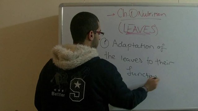 Biology - Chapter 1 - Nutrition - part 11 (Leaves adaptation) - Abdallah Reda el Sayed - YouTube