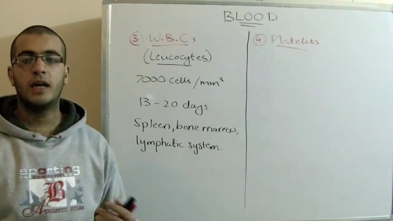 Biology - Chapter 2 - Transport - part 11 (W.B.C.s - platelets) - Abdallah Reda El Sayed