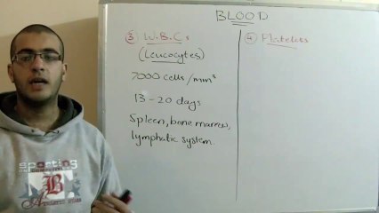 Biology - Chapter 2 - Transport - part 11 (W.B.C.s - platelets) - Abdallah Reda El Sayed